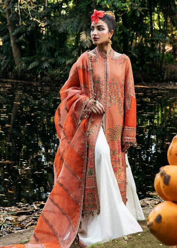 HUSSAIN REHAR ROSHAN (Begonia)