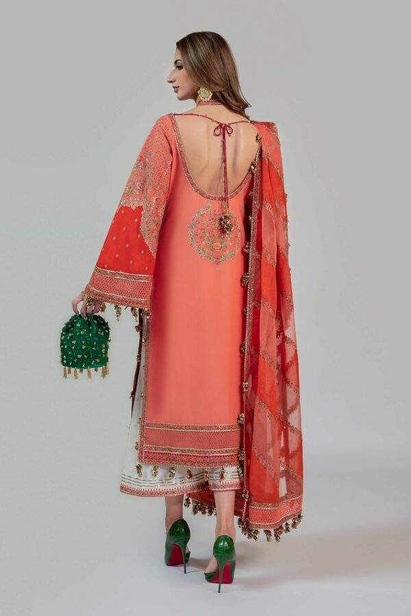 HUSSAIN REHAR ROSHAN (Begonia)