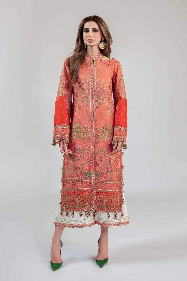 HUSSAIN REHAR ROSHAN (Begonia)