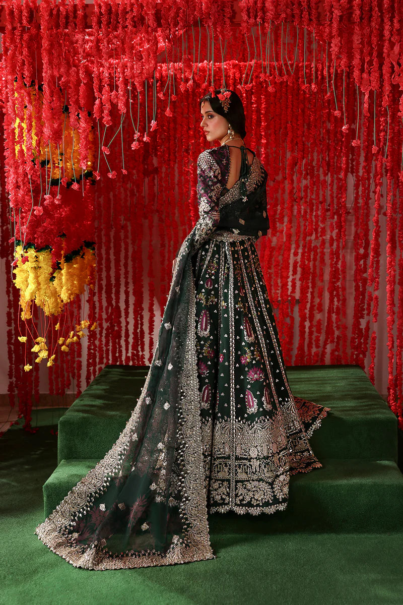 AFROZEH WEDDING FORMALS 25 (SHONGLAM  AFS-25-01 )