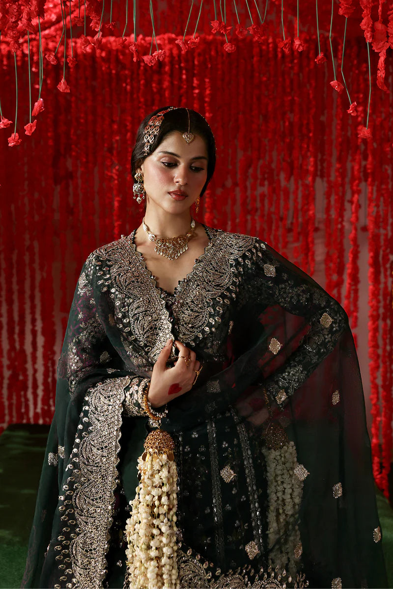 AFROZEH WEDDING FORMALS 25 (SHONGLAM  AFS-25-01 )